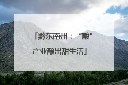 黔东南州：“酸”产业酿出甜生活