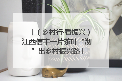 （乡村行·看振兴）江西信丰一片茶叶“沏”出乡村振兴路