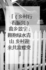 （乡村行·看振兴）畲乡景宁：拥抱绿水青山 乡村迎来共富蝶变