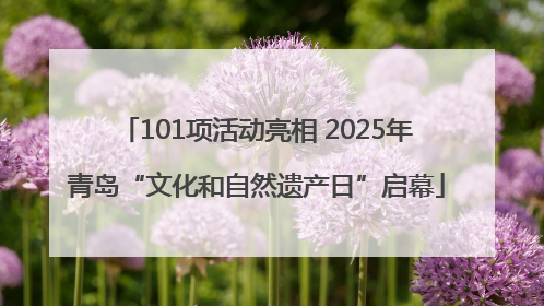 101项活动亮相 2025年青岛“文化和自然遗产日”启幕