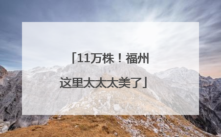 11万株！福州这里太太太美了