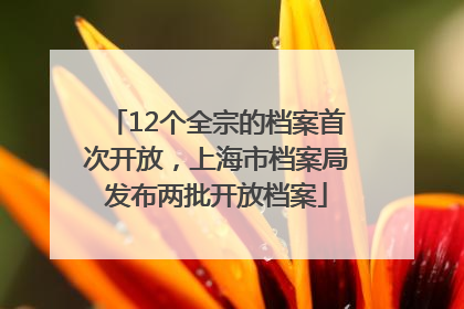 12个全宗的档案首次开放，上海市档案局发布两批开放档案