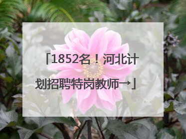 1852名！河北计划招聘特岗教师→