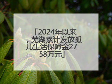 2024年以来，芜湖累计发放孤儿生活保障金2758万元