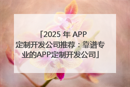 2025 年 APP 定制开发公司推荐：靠谱专业的APP定制开发公司