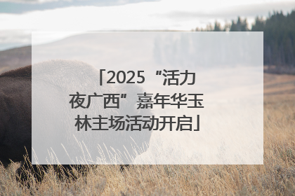 2025“活力夜广西”嘉年华玉林主场活动开启