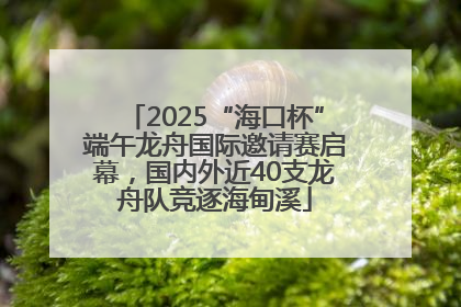 2025“海口杯”端午龙舟国际邀请赛启幕，国内外近40支龙舟队竞逐海甸溪