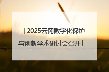 2025云冈数字化保护与创新学术研讨会召开