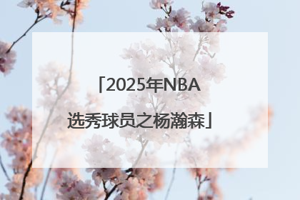 2025年NBA选秀球员之杨瀚森