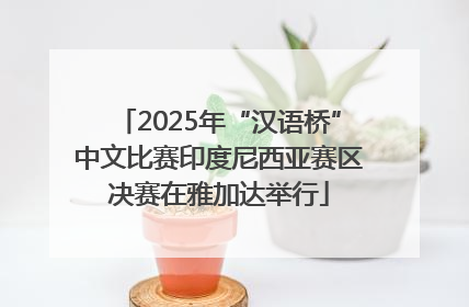 2025年“汉语桥”中文比赛印度尼西亚赛区决赛在雅加达举行