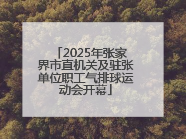 2025年张家界市直机关及驻张单位职工气排球运动会开幕