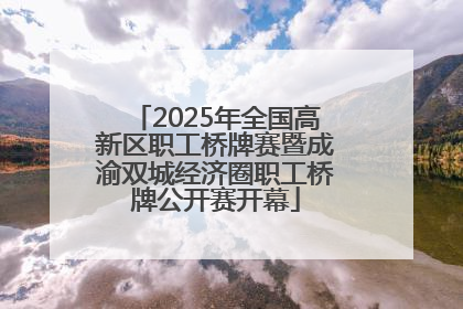 2025年全国高新区职工桥牌赛暨成渝双城经济圈职工桥牌公开赛开幕