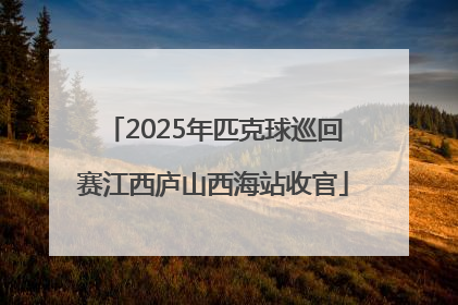 2025年匹克球巡回赛江西庐山西海站收官