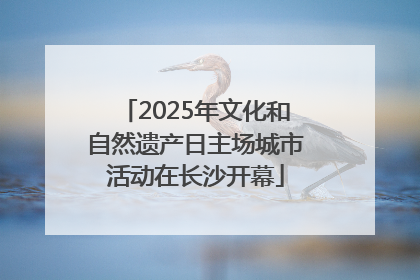 2025年文化和自然遗产日主场城市活动在长沙开幕