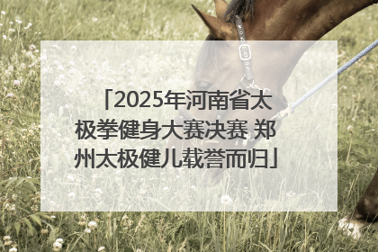 2025年河南省太极拳健身大赛决赛 郑州太极健儿载誉而归