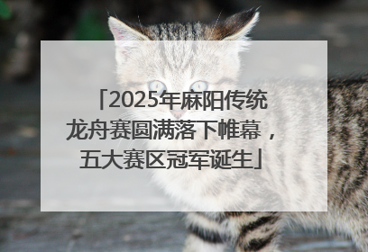 2025年麻阳传统龙舟赛圆满落下帷幕，五大赛区冠军诞生
