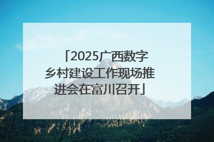 2025广西数字乡村建设工作现场推进会在富川召开
