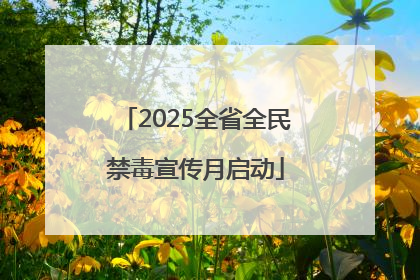 2025全省全民禁毒宣传月启动