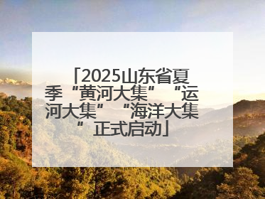 2025山东省夏季“黄河大集”“运河大集”“海洋大集”正式启动