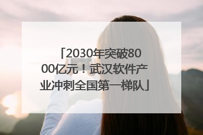 2030年突破8000亿元！武汉软件产业冲刺全国第一梯队