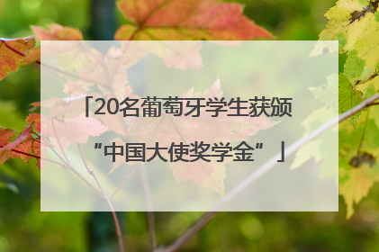 20名葡萄牙学生获颁“中国大使奖学金”