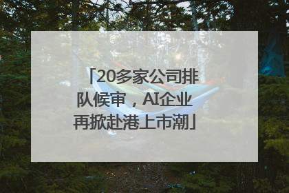 20多家公司排队候审，AI企业再掀赴港上市潮