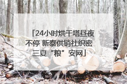 24小时烘干塔昼夜不停 新泰供销社织密三夏“粮”安网