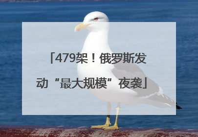 479架！俄罗斯发动“最大规模”夜袭