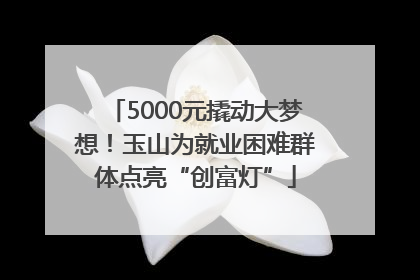5000元撬动大梦想！玉山为就业困难群体点亮“创富灯”