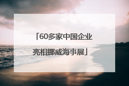 60多家中国企业亮相挪威海事展