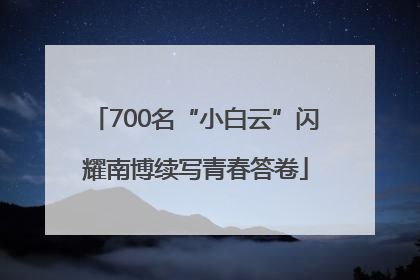 700名“小白云”闪耀南博续写青春答卷