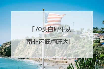 70头白犀牛从南非运抵卢旺达