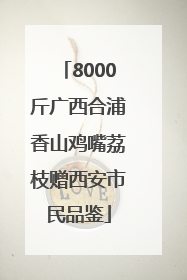 8000斤广西合浦香山鸡嘴荔枝赠西安市民品鉴
