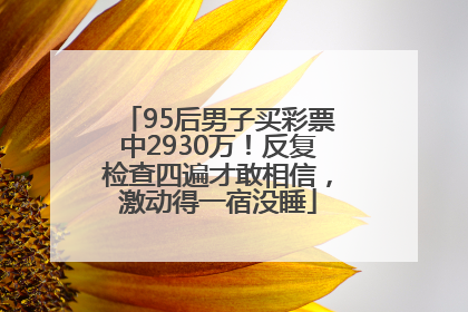 95后男子买彩票中2930万！反复检查四遍才敢相信，激动得一宿没睡