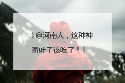 @河南人，这种神奇叶子该吃了！