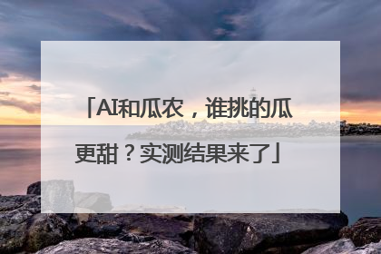 AI和瓜农，谁挑的瓜更甜？实测结果来了