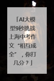 AI大模型9秒挑战上海中考作文“相互成全”，你打几分？