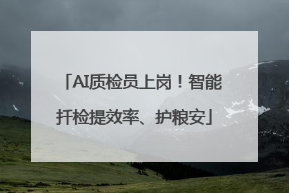 AI质检员上岗！智能扦检提效率、护粮安