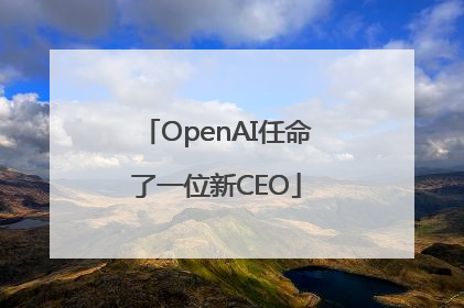 OpenAI任命了一位新CEO