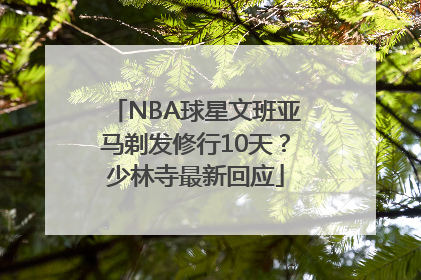 NBA球星文班亚马剃发修行10天？少林寺最新回应