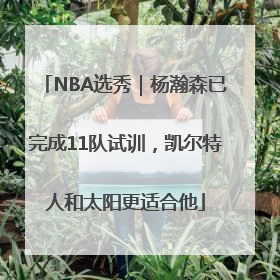 NBA选秀｜杨瀚森已完成11队试训，凯尔特人和太阳更适合他