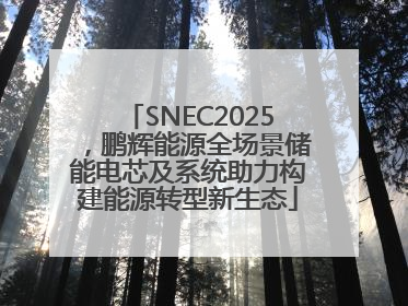SNEC2025，鹏辉能源全场景储能电芯及系统助力构建能源转型新生态